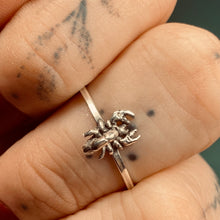 Load image into Gallery viewer, Dromopoda Scorpion Sterling Silver Stacker Ring